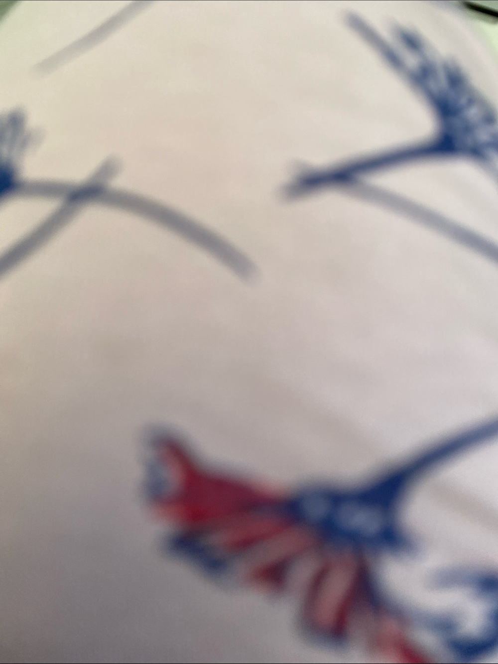 White Top with Blue and Red Floral Print